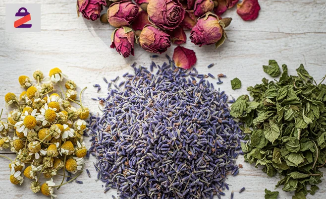 دمنوش های کمر تاثیر برای کمردرد